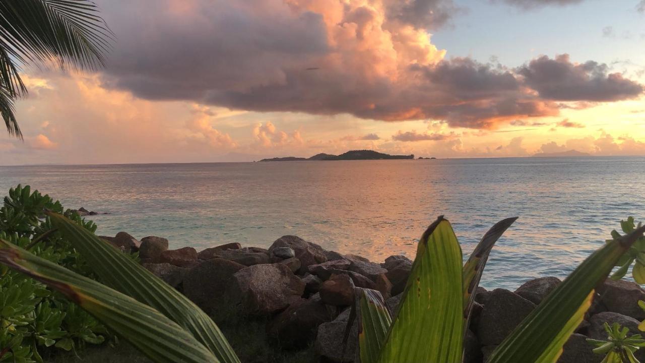 Sunset Cove Villa Grand Anse  Exteriör bild