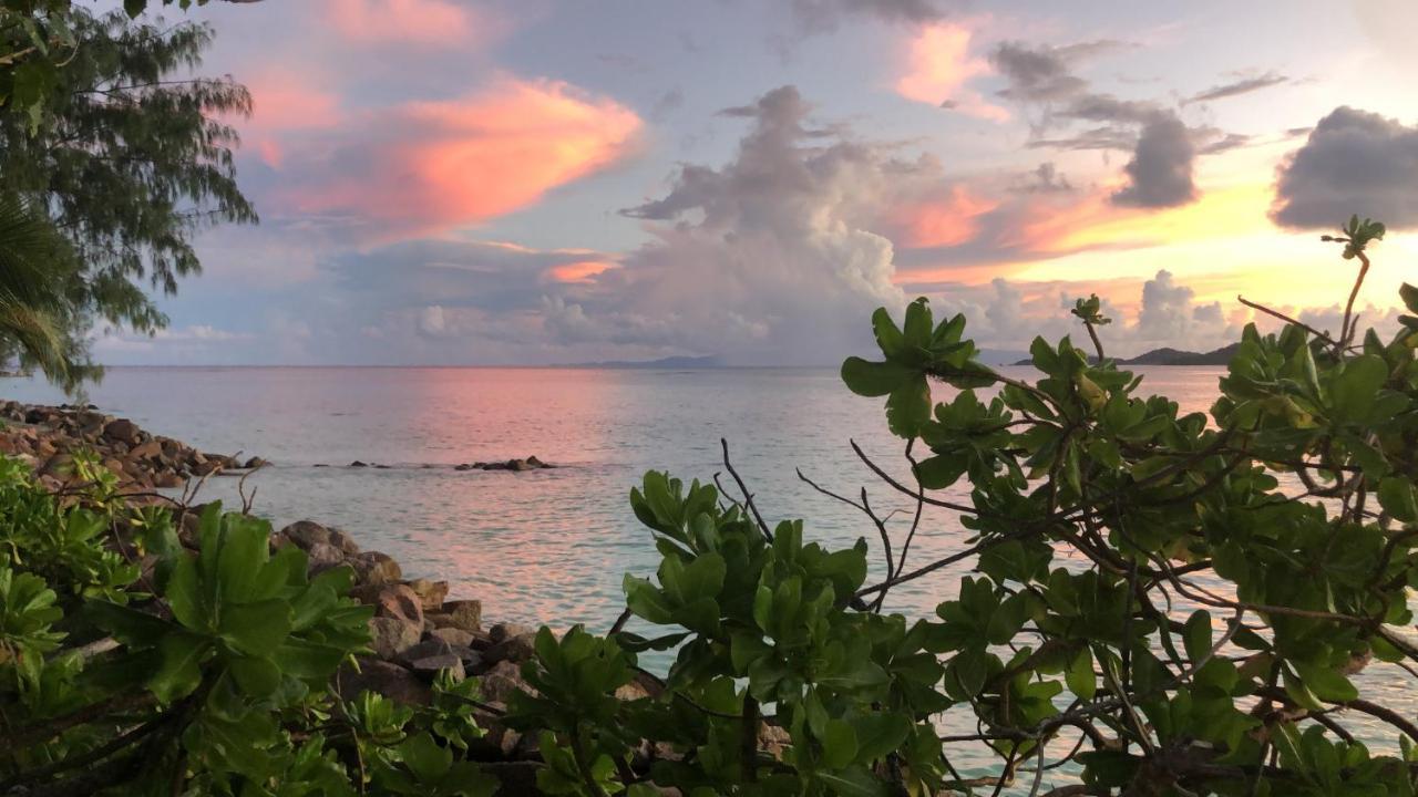 Sunset Cove Villa Grand Anse  Exteriör bild