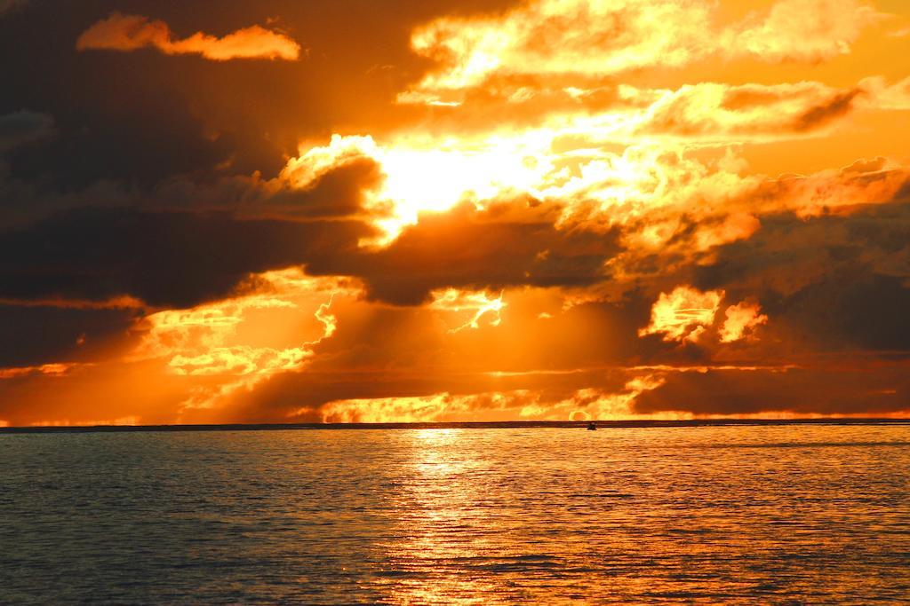 Sunset Cove Villa Grand Anse  Exteriör bild