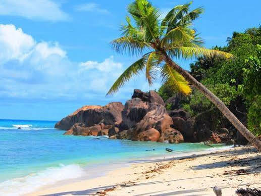 Sunset Cove Villa Grand Anse  Exteriör bild